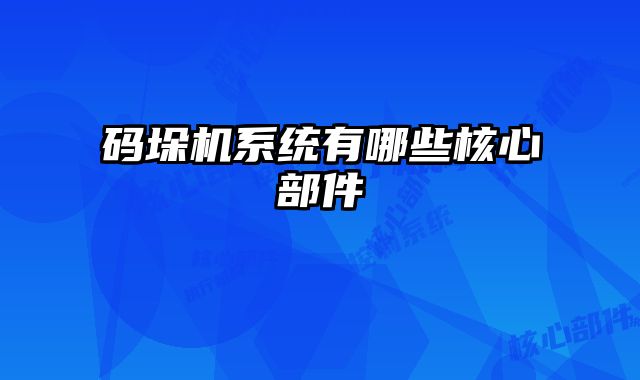 碼垛機(jī)系統(tǒng)有哪些核心部件